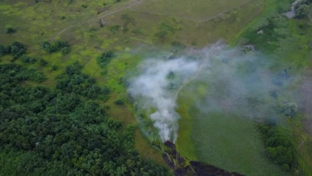 Burning grass and trees in a deserted field. Fire destroys the nature and greenery of the Earth. High dense smoke from the fire. Dangerous phenomenon, top view. Aerial view of a fire in green fields. — Stock Video