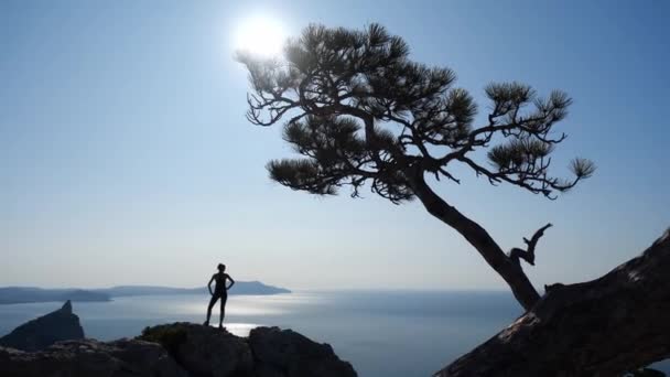 Slender, sporty tourist girl stands on top of a mountain and enjoys stunning sea views under a cliff and very bright sun. Shooting leaves behind a tree in slow motion, back view. Active sporty life. — Stock video