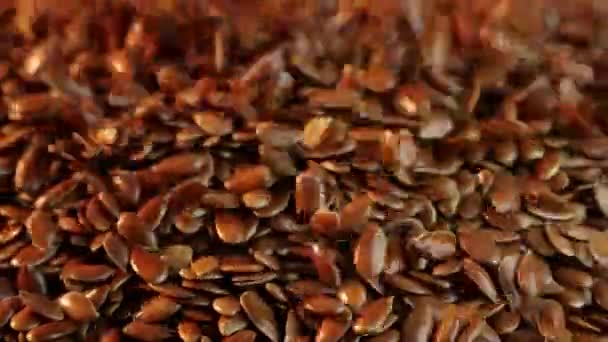 Yumuşak bir masaya serpiştirilmiş keten tohumlarının yakından görüntüsü. Birçok keten tohumu masanın yüzeyini tamamen kaplar. İnsan vücudunun çeşitli hastalıklarının önlenmesi için kullanışlı bir ürün.. — Stok video