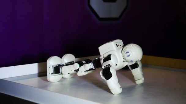 2019年11月9日，乌克兰哈尔科夫：Ubtech机器人在展览上进行俯卧撑练习，特写，智能技术。未来人形玩具，现代技术. — 图库视频影像