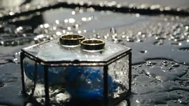 Detailní záběr malého jarního deště v dopoledních hodinách za slunečného dne, kapající na pár lesklých zlatých snubních prstenů ležících na šestihranné skleněné svatební krabici, ve které leží krásná modrá orchidej květiny pro nevěstu. — Stock video