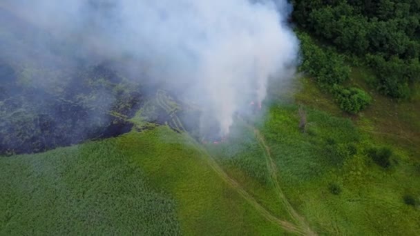 Incendie dangereux sur l'herbe près de la forêt, vue de dessus. Prise de vue aérienne de fumée dense provenant d'un incendie dans un champ près de la forêt pendant la journée. Vue aérienne d'un feu de forêt dans les champs verts par temps chaud .