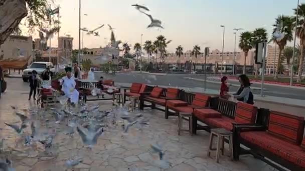 Dubai, Uae - 04 februari 2020: Mängder av måsar går längs torget. En suddig grupp fåglar slåss om mat på huvudgatan på Dubai Square en bländande, varm kväll vid solnedgången. Människor — Stockvideo