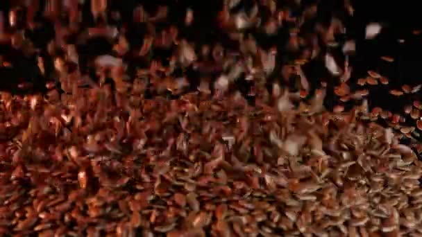 Une grappe de graines de lin descend et tombe sur une table lisse dans un fond noir, vue de près. Produit utile pour toute personne. Vitamines et macronutriments. Graines de lin tombent à la surface de la table . — Video