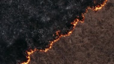 Vahşi ateş bozkıra yayılır. Köyün yakınında büyük bir yangın çıkmış. Tarladaki kuru çimenler yanıyor, yerden duman yükseliyor, çevre felaketi.