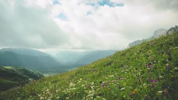 Timelapse panorama van weide met prachtige lila en gele bloemen en gras op de berghelling tegen een achtergrond van hoge bergen, bossen landschappen en blauwe lucht. Prachtige lente natuur — Stockvideo