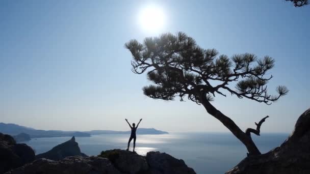 Vrouwelijke toeristische atleet klom naar de top van de klif en geniet van het prachtige landschap en uitzicht op de zee en de stralen van de zon die erop vallen. jong atletisch meisje staat op de top van een berg. — Stockvideo