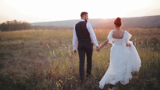 Zadní záběr mladého bělošského manželského páru kráčejícího po neobydleném poli proti západu slunce. Stylová nevěsta a ženich ve svatebních šatech držet za ruku a vychutnat si romantickou procházku v přírodě. — Stock video