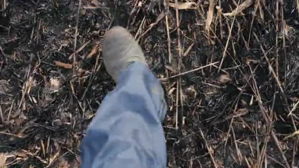 Filmisk undersökning ovanifrån av vandrande hanfötter i galoscher längs askan av bränd jord på ett öde fält under dagen. Mannen går genom den brända askan svart gräs och tar av sig benen. — Stockvideo