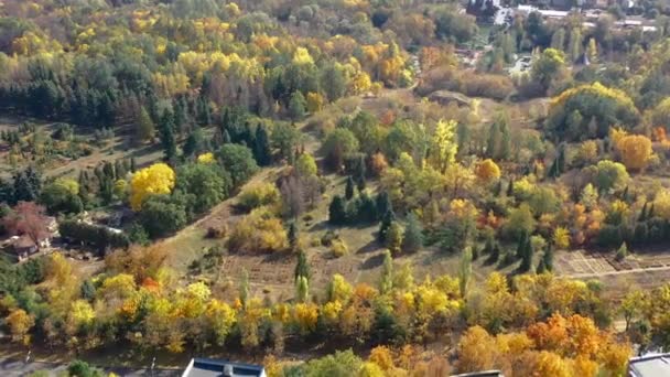 Extensive top view of beautiful autumn forest with many beautiful trees illuminated by the bright sun. Colorful forest outside the city with small plowed fields and forest house, aerial panoramic shot — Stock Video