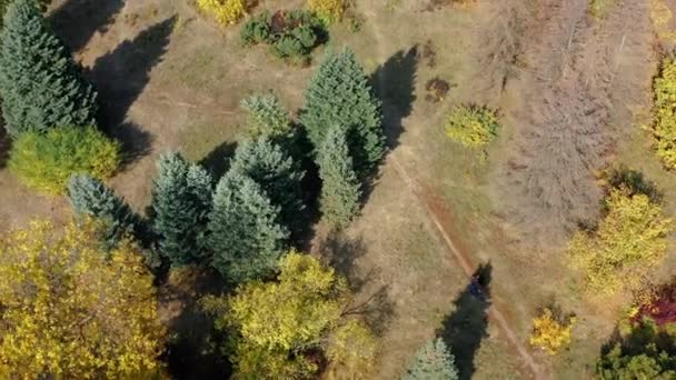 Un par de personas mayores disfrutan de un paseo matutino por el bosque de la ciudad en un clima soleado de otoño, una toma aérea de una pareja de ancianos que se eleva bruscamente por encima de un hermoso bosque, Kharkiv, Ucrania. Ocio activo fuera — Vídeos de Stock