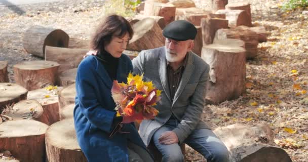 Pareja anciana de pensionistas están sentados en muñones, un marido barbudo con una chaqueta calma y acaricia a una esposa triste y molesta en un abrigo azul que sostiene ramo de hojas de otoño. El hombre simpatiza con una mujer . — Vídeos de Stock