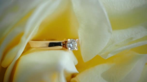 Vista ravvicinata di anello di fidanzamento d'oro con un diamante che giace al centro del fiore di rosa color crema. Bellissimo e romantico anello di pietra preziosa regalo per una persona cara. Regalo per la sposa, moglie o ragazza. — Video Stock