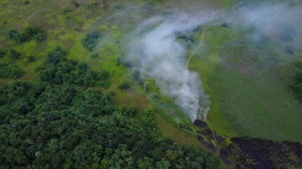 Un pequeño disparo de dron desde arriba de un incendio forestal en un campo verde. Hierba y árboles arden y se queman. Terrible desastre en un campo cerca del bosque. Grueso humo del fuego se eleva alto . — Vídeos de Stock