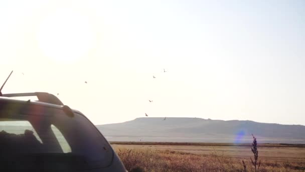 Vista laterale del passaggio di autovetture su strada fuori città tra campi deserti sullo sfondo del paesaggio montano con il cielo, sole splendente e uccelli volanti in altezza . — Video Stock
