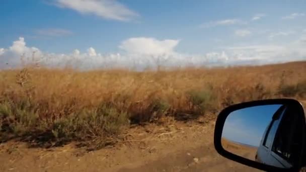 Osobní automobil jedoucí po venkovské silnici mezi krásným opuštěným polem za slunečného počasí, výhled z okna auta. Boční zrcadlo auta a trávy na louce. Turistický výlet a cestování v přírodě. — Stock video
