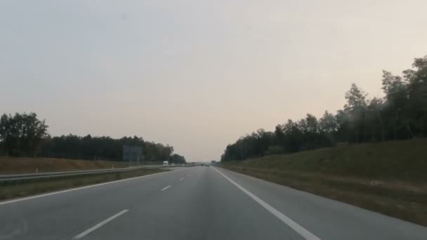 Jazda samochodem po asfaltowej drodze między lasami z drzewami, jak w tle. Piękny strzał z przedniej szyby samochodu jadącego przed siebie na autostradzie poza miastem wieczorem, jadącego pod mostem. — Wideo stockowe