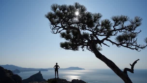 Mujer escalada alta montaña y disfruta de increíbles vistas del mar Negro. Mujer joven inspirada se para en la cima de Crimea, levanta las manos al sol. Pasatiempo activo, viajes y turismo deportivo. Estilo de vida saludable — Vídeos de Stock