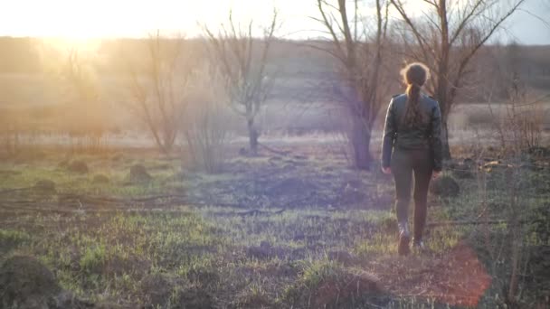 Young woman in leather jacket, leggings and stylish black boots with high soles walks on the scorched grass after fire against background of beautiful sunset in the field, rear view in slow motion. — Stock Video