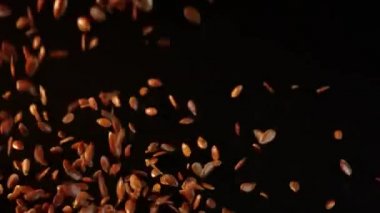 Siyah arka planda pürüzsüz bir masada keten tohumu. İzole keten tohumları aşağı uçar ve yüzeyde ufalanır. Keten tohumları çeşitli mineraller ve vitaminler bakımından zengindir. İnsanlar için faydalı bir ürün.