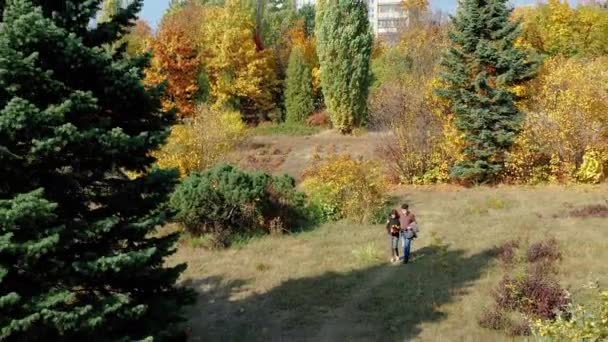 Par de idosos passeando pelo parque de mãos dadas em clima quente e ensolarado de outono. Avó com buquê de folhas desfrutar de um passeio com o avô na floresta pela manhã, vista superior. — Vídeo de Stock