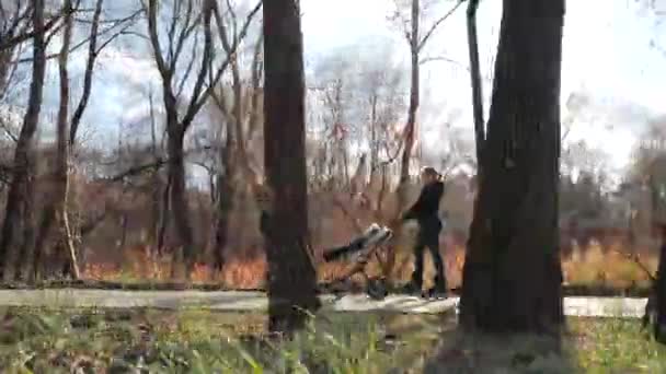 Heureux parents sportifs marchent sur des patins à roulettes avec un bébé dans une poussette dans un parc d'automne confortable le long des arbres et de l'herbe. Papa monte à reculons et divertit le bébé et la mère. Mouvement lent . — Video