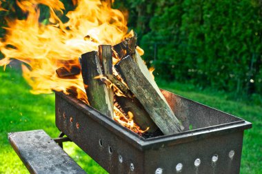 Bir arka bahçe çim bir ızgara yanan ateş. Yeşil ağaçlar içinde belgili tanımlık geçmiş. Parlak renkler. Gün ışığı.