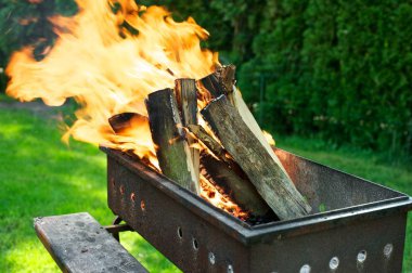 Arka Bahçe Barbekü! Bir ızgara yanan odun. Yeşil ağaç ve otların içinde belgili tanımlık geçmiş.