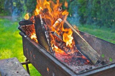 Bir barbekü ızgara yanan odun. Yeşil çim ve ağaçların içinde belgili tanımlık geçmiş.