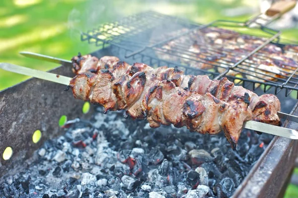 Arka Bahçe Barbekü gün güneşli yaz. Sığır eti şiş ve tavuk kanadı bir ızgara. Yeşil çimler içinde belgili tanımlık geçmiş. Kömür gelen duman.