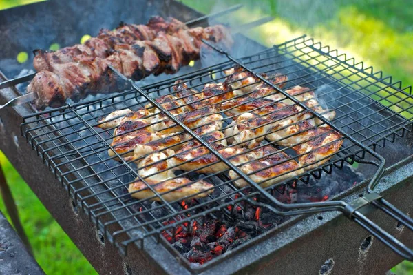 Tavuk kanadı ve sığır eti şiş bir barbekü ızgara kızartma. Duman kömür, yeşil çim arka planda gelen.