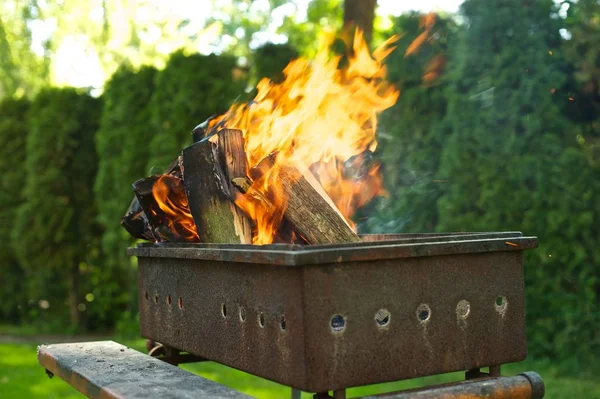 Backyard bbq! Firewood burning in a grill. Green trees and grass in the background.