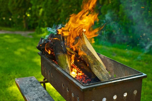 Firewood Burning Barbecue Grill Green Lawn Trees Background — Stock Photo, Image