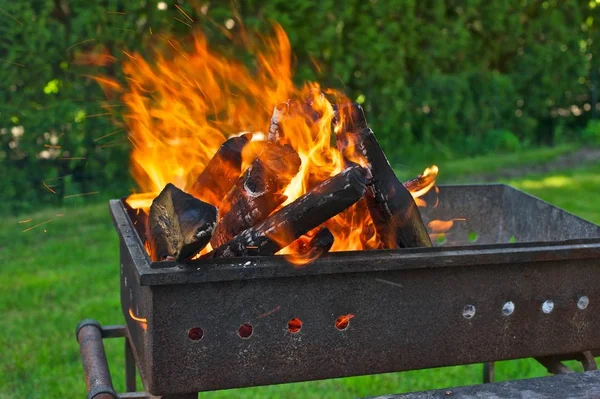 Colorful Photo Firewood Burning Barbecue Grill Green Lawn Background — Stock Photo, Image