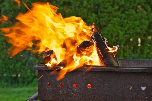Bir barbekü ızgara yanan odun renkli bir fotoğrafı. Arka planda yeşil çim.