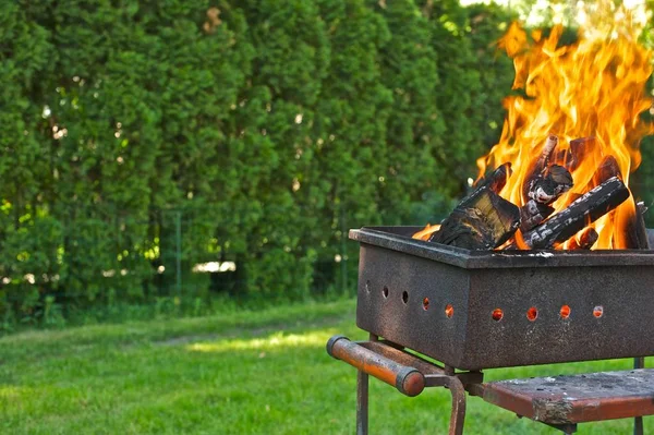 Bir barbekü ızgara yanan odun. Yeşil çim ve ağaçların içinde belgili tanımlık geçmiş.