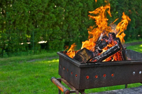 Bir barbekü ızgara yanan odun. Yeşil çim ve ağaçların içinde belgili tanımlık geçmiş.
