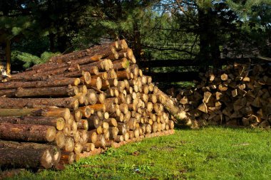 Yeşil çimenlerin üzerinde ahşap günlükleri yığını.