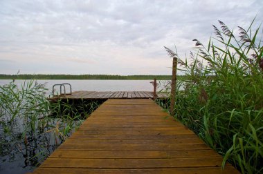 Ahşap iskele göle gidiyor. İki yeşil bitkiler.