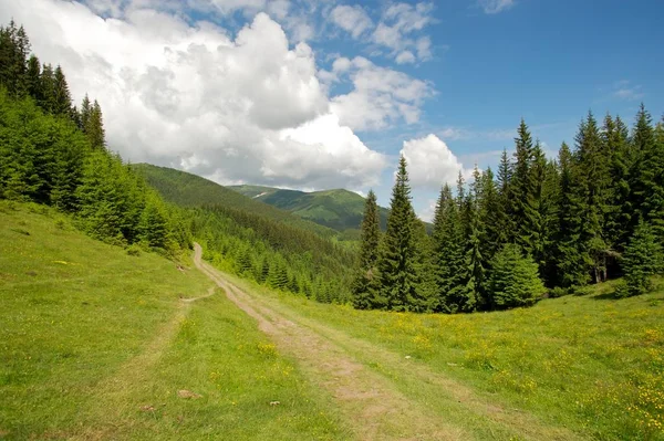 Macera hiking. Dağlar doğal bir atış! Mountainscape, dağ yolu, orman ve gökyüzü ve bulutlar nefes kesen manzarası.