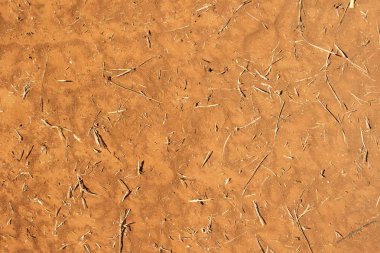 Kekova, Türkiye'de kırmızı kum ve kuru ot. 