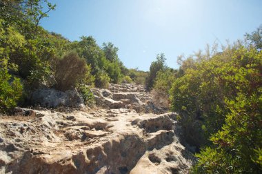 Kayalık hiking trail. Yeşil ağaçlar ve bitkiler tarafta. Temiz mavi gökyüzü. 