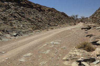 Namibya Damaraland bölgesinde 4 Wd Road
