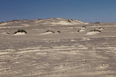 Dunes adlı Namibya Skeleton Coast