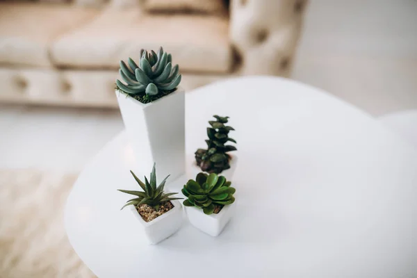 Interior Minimalism Tech Comfort Small Stylish Flowerpots White Table Light — Stock Photo, Image