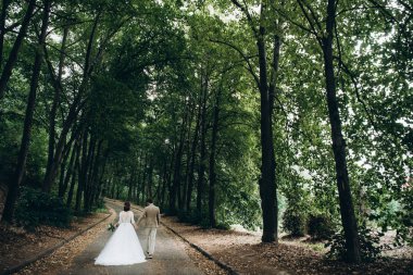 Gelin ve damat parkta elele yol boyunca yürüyüş