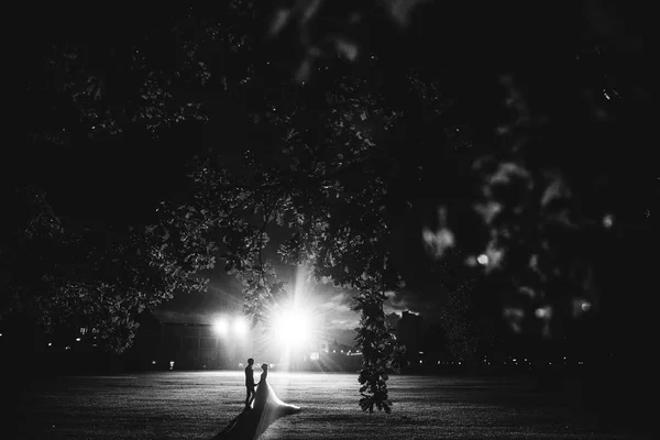 美丽的新婚夫妇的剪影在树附近在晚上 黑白照片 — 图库照片
