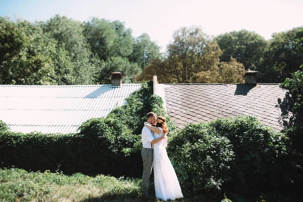 Newlyweds Standing Nature Groom Hugs His Beautiful Bride — Stock Photo, Image