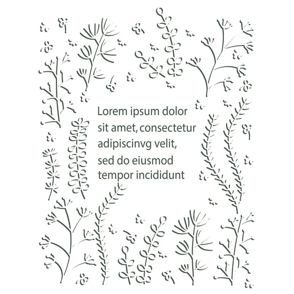 Vector Marco dibujado a mano con los contornos de las plantas herbales. Espacio para el texto. Tarjeta de felicitación con plantilla de vector floral — Archivo Imágenes Vectoriales