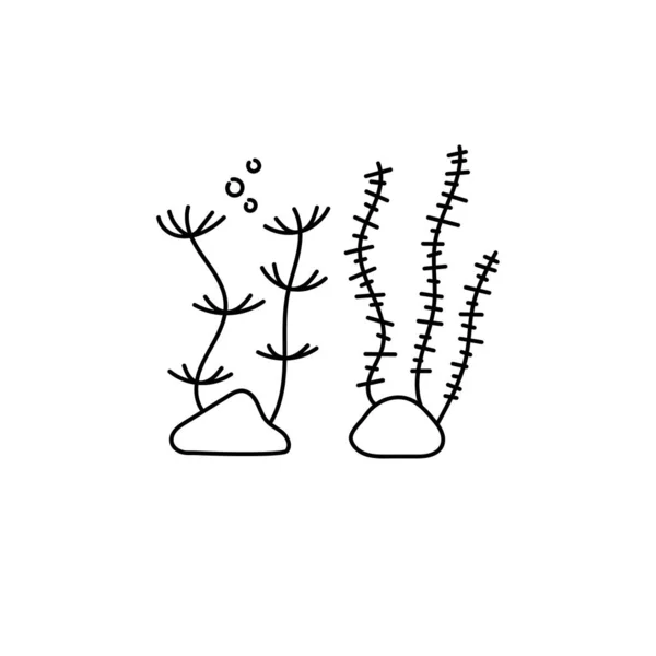 Plantas de agua, algas. Icono de línea dibujada a mano, ilustración de plantilla de logotipo vectorial. Cuidado del acuario. Negro sobre blanco — Archivo Imágenes Vectoriales